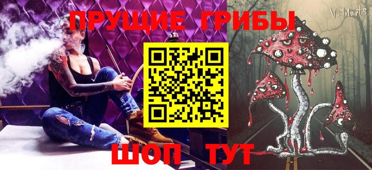 Отрадное  Галлюциногенные грибы Psilocybe  Вход с VPN 