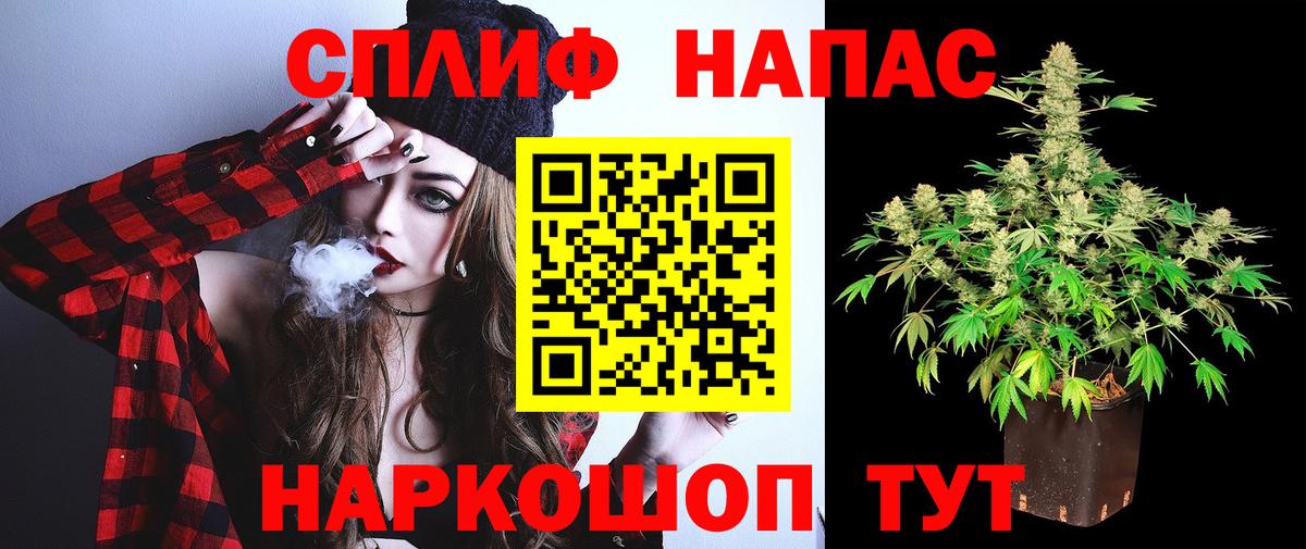 Бошки Шишки план Отрадное